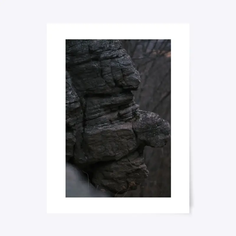 Stoneface Print